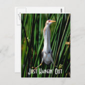 Spätestens, einfach nur hinausschauen postkarte (Vorne/Hinten)