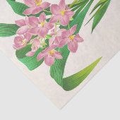 Spathoglottis Plicata (Orchid), Jean Jules Linden Seidenpapier (Ausschnitt)