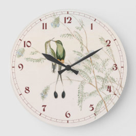 Spathura Peruana Hummingbirds by John Gould Große Wanduhr