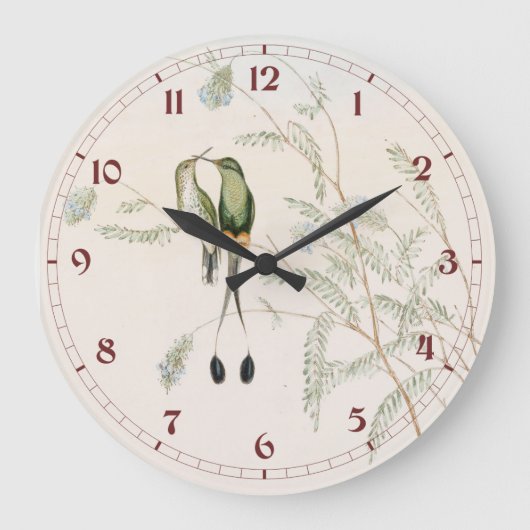 Spathura Peruana Hummingbirds by John Gould Große Wanduhr (Vorderseite)