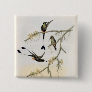 Spathura Solstitialis Button