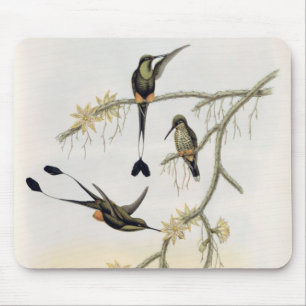 Spathura Solstitialis Mousepad