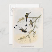 Spathura Solstitialis Postkarte (Vorne/Hinten)