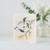 Spathura Solstitialis Postkarte (Stehend Vorderseite)