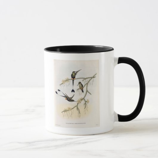 Spathura Solstitialis Tasse (Rechts)