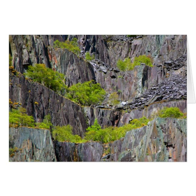 Spätklippe mit Bäumen (Vorderseite (Horizontal))