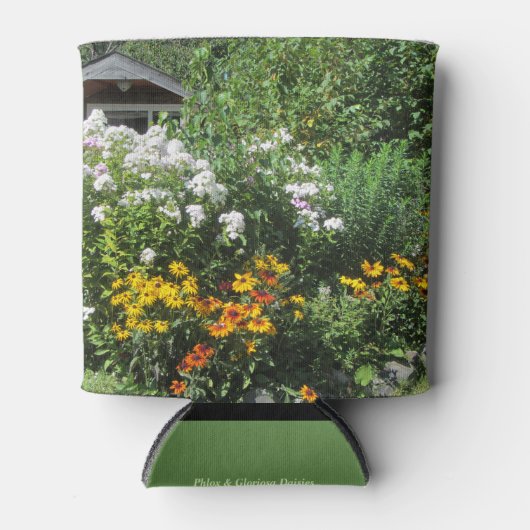 Spätsaison Phlox und Gloriosa Daisies Dosenkühler (Vorderseite)