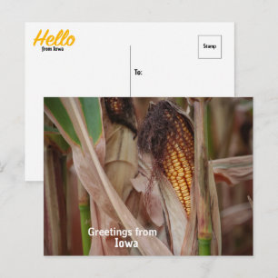 Spätsommeransichten von Iowa Postkarte