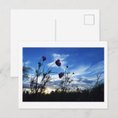 Spätsommerhimmel: Tokio Postkarte (Vorne/Hinten)