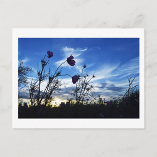 Spätsommerhimmel: Tokio Postkarte