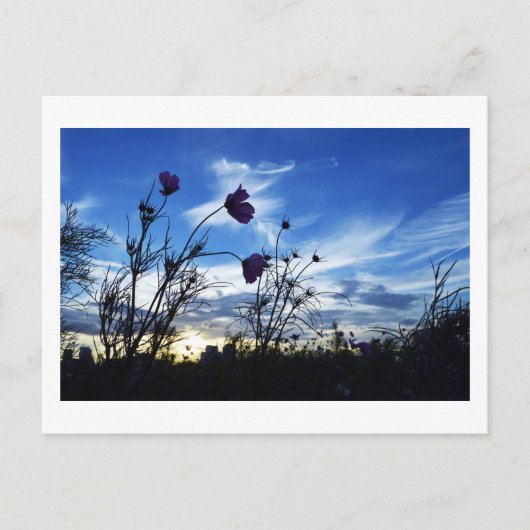 Spätsommerhimmel: Tokio Postkarte (Vorderseite)