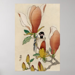 Spatz auf blühendem Magnolienzweig Japanische Fein Poster