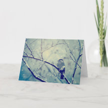 Spatz auf der schneebedeckten Niederlassung