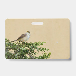 Spatz  ausweis