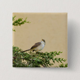 Spatz Button