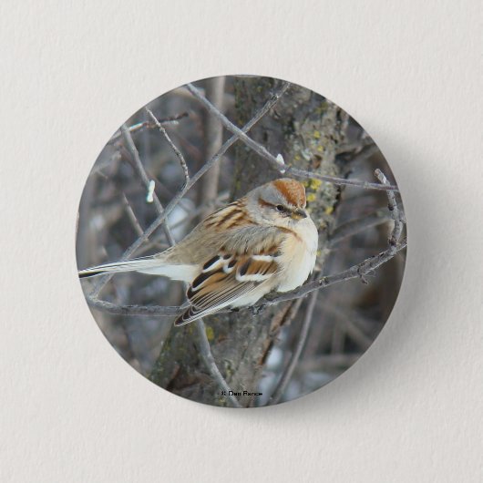 Spatz des Common-B24 Button (Vorderseite)