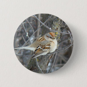 Spatz des Common-B24 Button