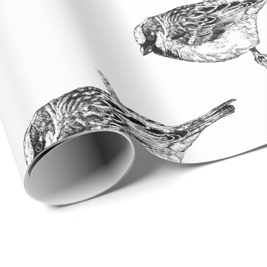 Spatz Geschenkpapier (Rolleneckpunkt)