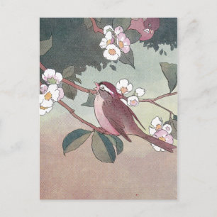 Spatz im blühenden Apfelbaum Postkarte