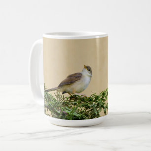 Spatz kaffeetasse