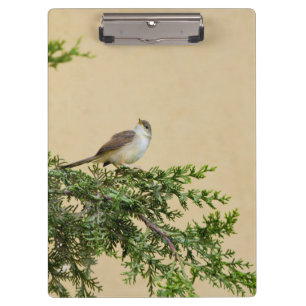 Spatz klemmbrett