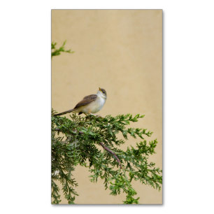 Spatz magnetische visitenkarte