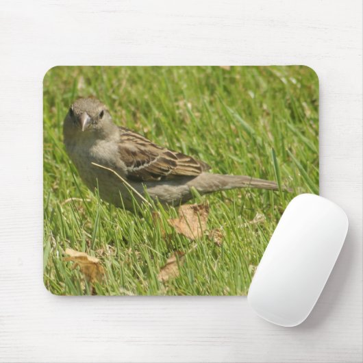 Spatz Mousepad (Mit Mouse)