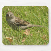 Spatz Mousepad (Vorne)
