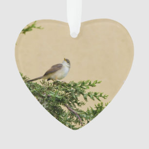 Spatz ornament