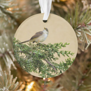 Spatz ornament
