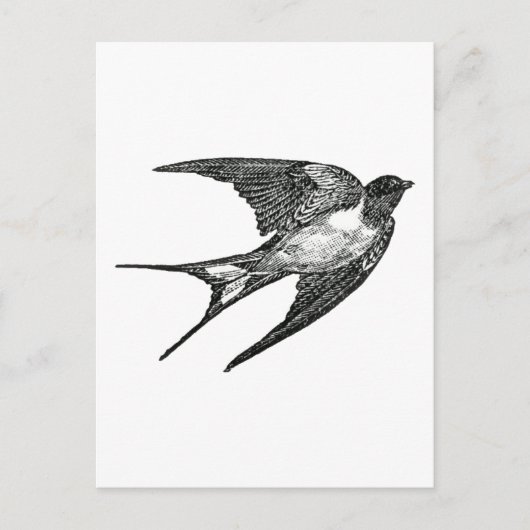 Spatz Postkarte (Vorderseite)