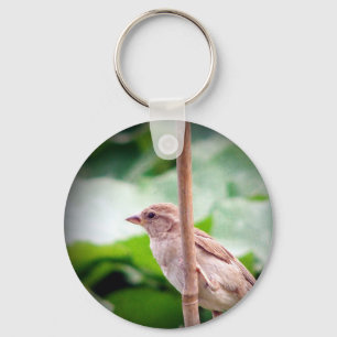 Spatz Schlüsselanhänger