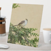 Spatz  sockelschild (In Situ)