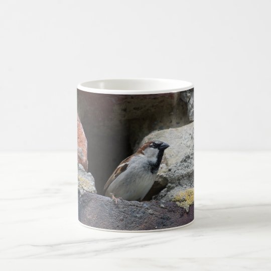 Spatz sparrow kaffeetasse