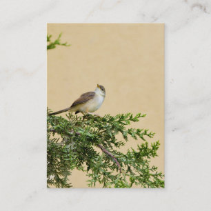 Spatz Visitenkarte