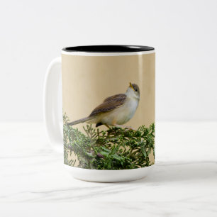 Spatz  zweifarbige tasse
