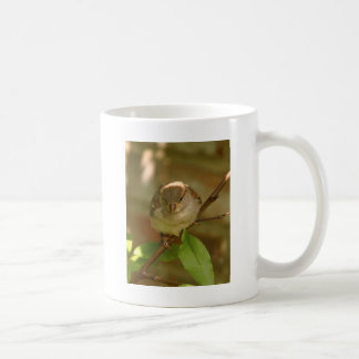 Spatzen-Foto Kaffeetasse