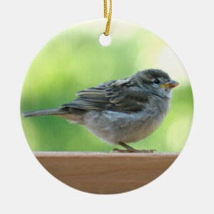 Spatzen-Foto Keramikornament