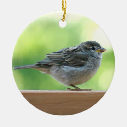 Spatzen-Foto Keramikornament (Vorne)
