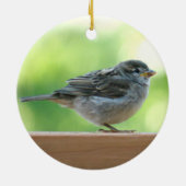 Spatzen-Foto Keramikornament (Hinten)