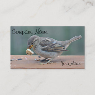 Spatzen-Foto Visitenkarte