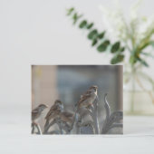 Spatzen Postkarte (Stehend Vorderseite)