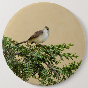 Spatzen Postkarte Button