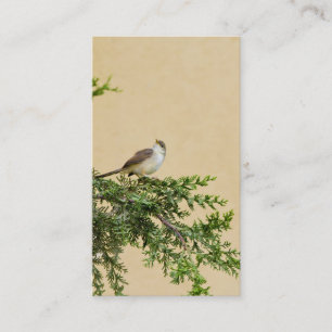 Spatzen Postkarte Platzkarte