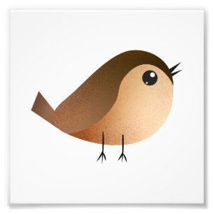 Spatzen-Vogel-Cartoon Fotodruck