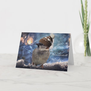 Spatzen-Vogel-Natur-Feiertags-Weihnachtskarten Feiertagskarte