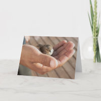 Spatzenvogel Auge auf der Spatzengrußkarte