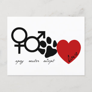 Spay-Neuter-Adoptiert-Liebe Postkarte