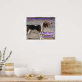 Spay, Neuter, Mikrochip Poster (Küche)