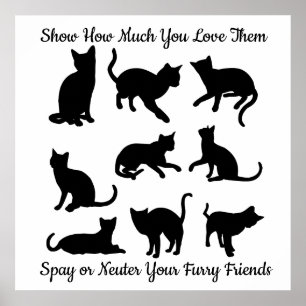 Spay oder Neuter Poster